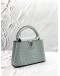 (BRAND NEW) LOUIS VUITTON CAPUCINES MINI IN GRIS PERLE OSTRICH LEATHER -FULL SET-