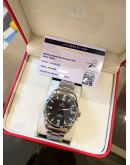 (LIKE NEW) 2010 OMEGA SEAMASTER RAILMASTER AQUA TERRA CO-AXIAL CHRONOMETER REF 2502.52.00 BLACK DIAL 41MM AUTOMATIC WATCH
