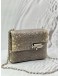 (CNY PROMO) (LIKE NEW) HERMES VERROU CHAINE MINI BAG IN OMBRE LIZARD 