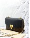 (LIKE NEW) LOUIS VUITTON SAINT PLACIDE CHAIN BAG WITH GOLD HARDWARE 