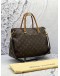 LOUIS VUITTON DARK PURPLE LEATHER AND BROWN MONOGRAM CANVAS PALLAS BAG