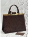 LOUIS VUITTON DEESSE LIMITED EDITION HANDLE BAG IN BROWN OSTRICH LEATHER