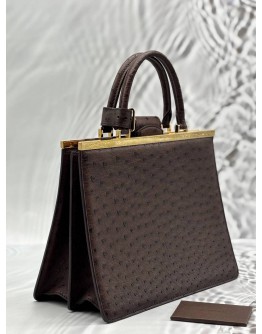 LOUIS VUITTON DEESSE LIMITED EDITION HANDLE BAG IN BROWN OSTRICH LEATHER