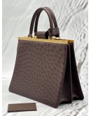 LOUIS VUITTON DEESSE LIMITED EDITION HANDLE BAG IN BROWN OSTRICH LEATHER