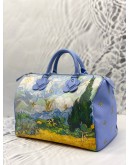 LOUIS VUITTON MASTERS COLLECTION VAN GOGH SPEEDY 30 HANDBAG 