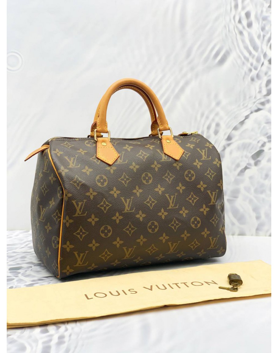 Louis Vuitton Pre-owned Monogram Speedy Handbag