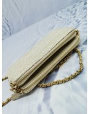 CHANEL DEAUVILLE DOUBLE ZIP CLUTCH CHAIN BAG