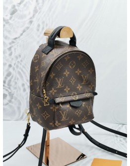 LOUIS VUITTON MONOGRAM CANVAS PALM SPRINGS MINI BAG