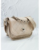 CHANEL QUILTED IRIDESCENT CALFSKIN SMALL JUNGLE STROLL BAG