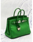 HERMES BIRKIN 25 HANDLE BAG BAMBOU SWIFT PLATINUM HARDWARE