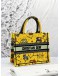 (LIKE NEW) 2022 CHRISTIAN DIOR PIXEL ZODIAC BOOK SMALL TOTE BAG 