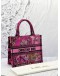 (LIKE NEW) 2023 CHRISTIAN DIOR EMBROIDERED TOILE DE JOUY VOYAGE BOOK SMALL TOTE BAG 