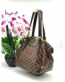 Louis Vuitton Damier Canvas Bag