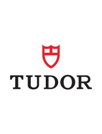 Tudor (17)